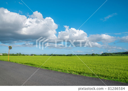 鄉村景觀 鄉村景觀 81286584