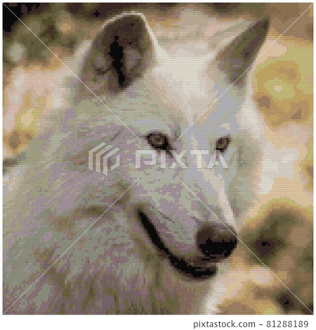 Portrait of a white wolf. 81288189