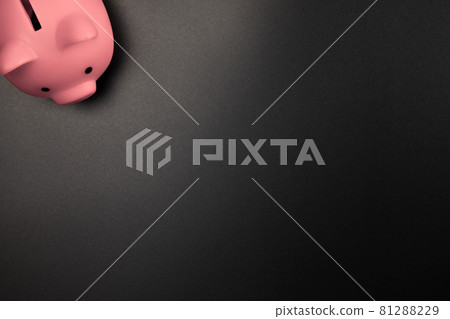 Pink Piggy Bank on a Black background top view with copy space.Savings,Financial and business concept Pink Piggy Bank on a Black background top view with copy space.Savings,Financial and business concept 81288229