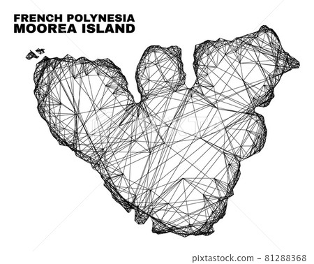 Linear Irregular Mesh Moorea Island Map 81288368