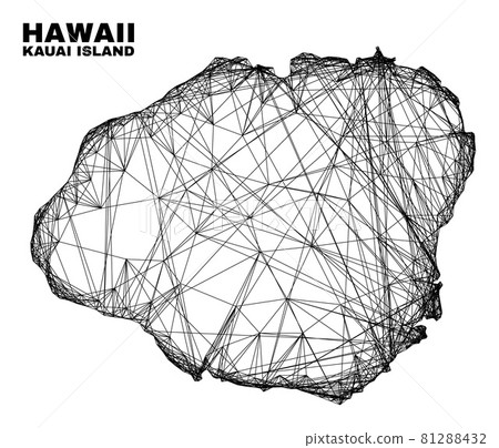 Net Irregular Mesh Kauai Island Map 81288432