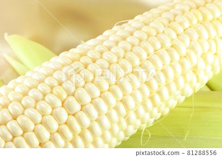 夏季蔬菜的主食！早上直接從產區去皮的玉米一顆 81288556