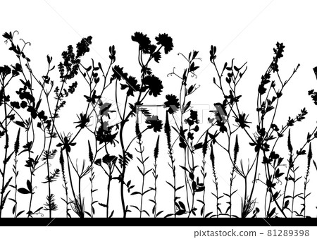 Seamless horizontal pattern with black and white wild flowers isolated on white background. 81289398
