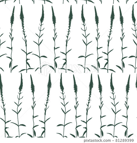 Monochrome floral seamless pattern isolated on white background. Monochrome floral seamless pattern isolated on white background. 81289399