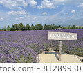  Farm Tomita 81289950