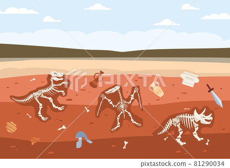 Underground soil with fossil animals skeletons and historical ancient artifacts. 81290034