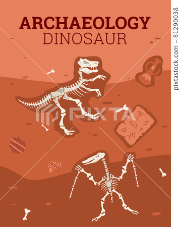Bones, dinosaur skeletons, ancient objects, treasures in flat cartoon style Bones, dinosaur skeletons, ancient objects, treasures in flat cartoon style 81290038