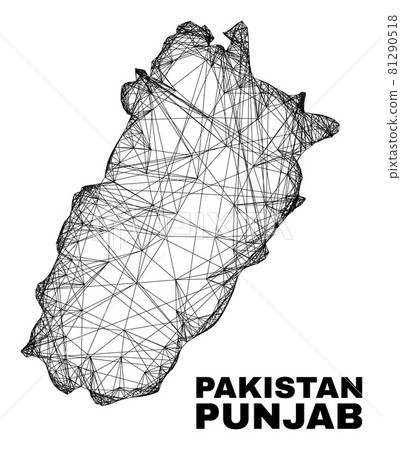 Linear Irregular Mesh Punjab Province Map 81290518