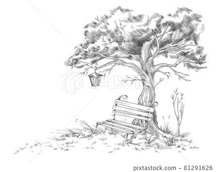 Hand drawn tree with park bench, engraving vintage vector illustration isolated. 81291626