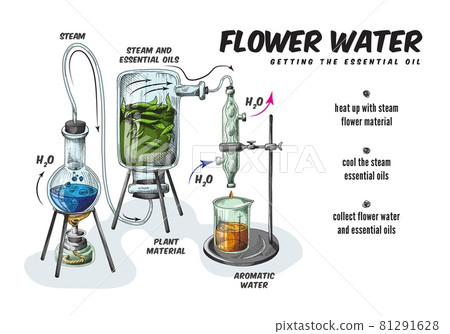 Process production of essential aromatic oil and flower water in chemistry lab 81291628