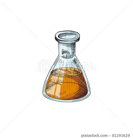 Chemical glass vintage flask with liquid in color sketch style Chemical glass vintage flask with liquid in color sketch style 81291629