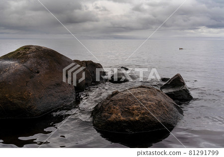 Beautiful autumn misty grey lake with rocky shore and cloudy sky at sunset. Dark and moody nature background. Great wallpaper design. Copy space. Beautiful autumn misty grey lake with rocky shore and cloudy sky at sunset. Dark and moody nature background. Great wallpaper design. Copy space. 81291799