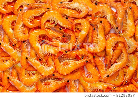 Top view of shrimp on white background. Top view of shrimp on white background. 81292057