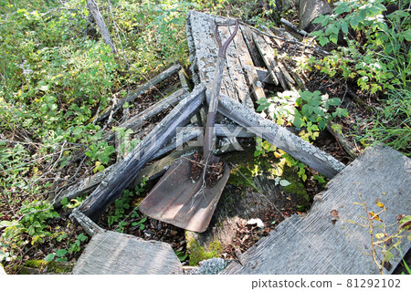 An old shovel rusting between a rotting shed An old shovel rusting between a rotting shed 81292102