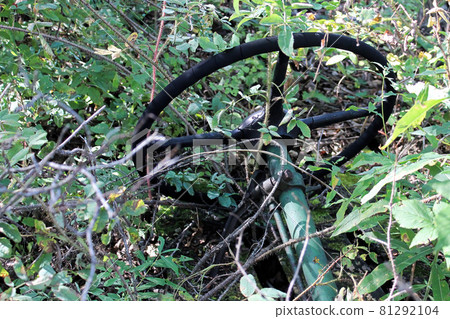 An old steering wheel being overgrown my branches An old steering wheel being overgrown my branches 81292104