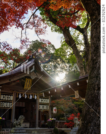 Kamado Shrine Autumn leaves 81292624