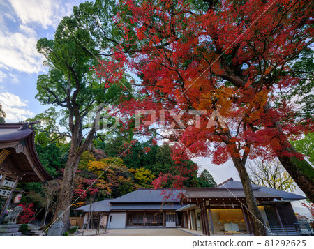 Kamado Shrine Autumn leaves 81292625