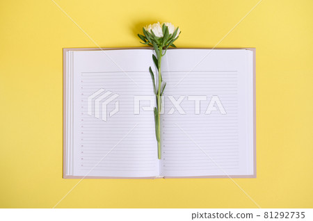 Delicate autumn aster flower in the middle of an open organizer with clean blank white sheets with copy space. Flat lay composition on yellow background 81292735
