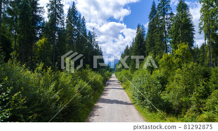 The Mount Hoverla from the road. Carpathian Mountains in Ukraine aerial view 81292875