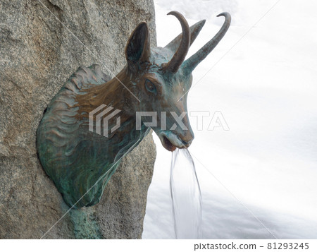 mountain fountain, water flows from a chamois head statue mountain fountain, water flows from a chamois head statue 81293245