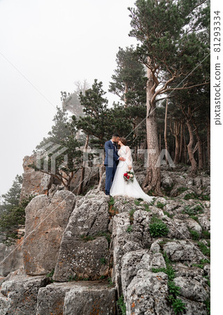 a beautiful newlyweds cuddling on rock in mountain forest. honeymoon.  81293334
