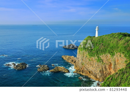 [Kochi Prefecture] Cape Ashizuri under sunny weather 81293448
