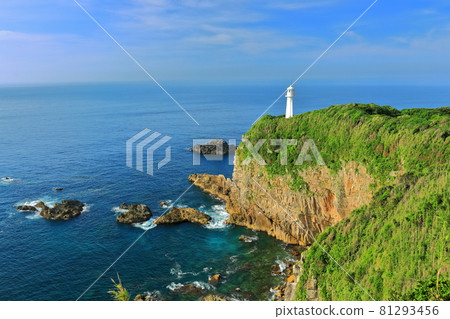 [Kochi Prefecture] Cape Ashizuri under sunny weather 81293456