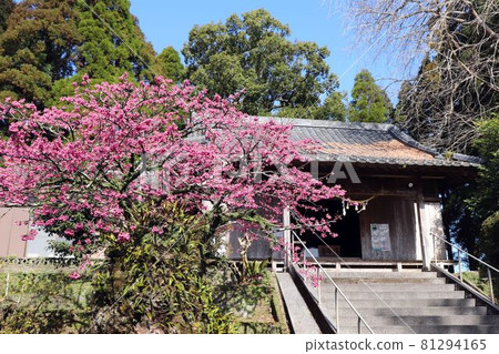 畑山神社的正殿 畑山神社的正殿 81294165