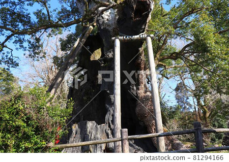 畑山神社奧須 畑山神社奧須 81294166
