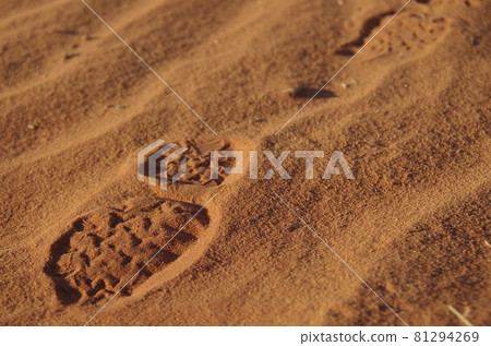 [Jordan] Wadiram, footprints on the desert 81294269