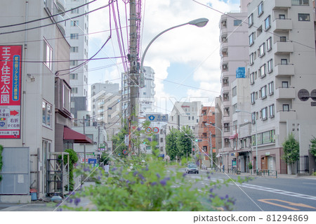 東京都北區本鄉大道/西原花道 81294869