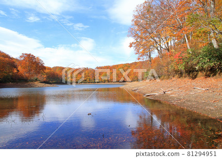 Chaya pond of autumn leaves of Nagora plateau 81294951