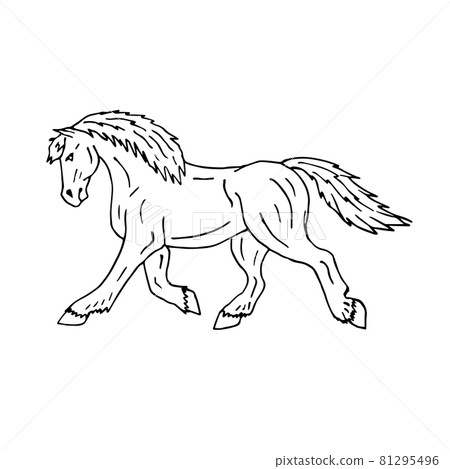 Vector hand drawn doodle sketch draft horse Vector hand drawn doodle sketch draft horse 81295496