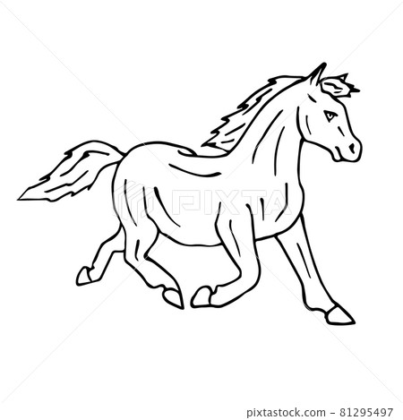 Vector hand drawn doodle sketch pony horse Vector hand drawn doodle sketch pony horse 81295497