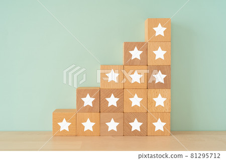 Evaluation ｜ Star mark building blocks 81295712