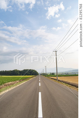[Hokkaido] A road with a continuous rural landscape 81295768