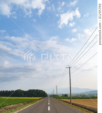 [Hokkaido] A road with a continuous rural landscape 81295769