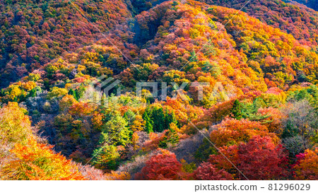 秋葉山 秋葉山 81296029