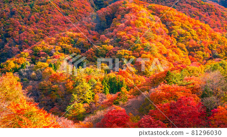 秋葉山 秋葉山 81296030