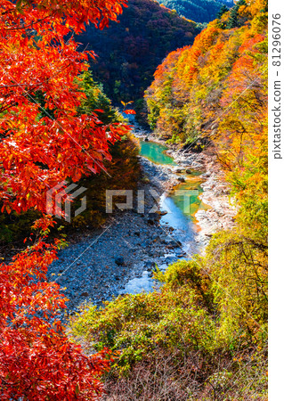White sand valley (autumn) White sand valley (autumn) 81296076