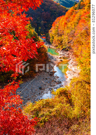 White sand valley (autumn) 81296077