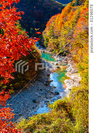 White sand valley (autumn) White sand valley (autumn) 81296078