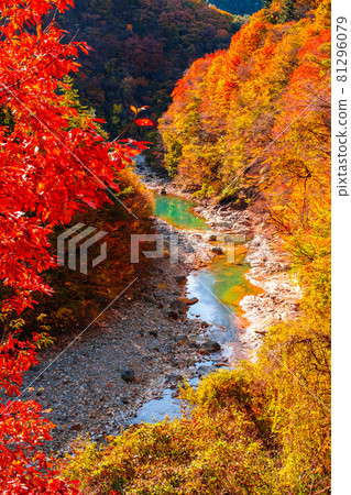 White sand valley (autumn) 81296079