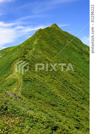 Blue sky and summer Tanigawa mountain range, Ojika Sawanoto 81296222