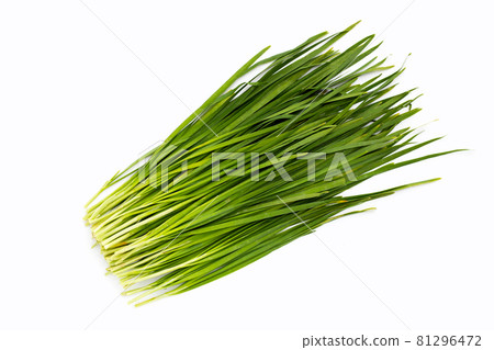 Fresh Chinese Chive leaves on white background. 81296472