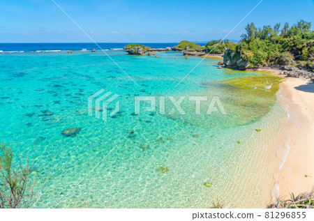 The sea of Okinawa 81296855