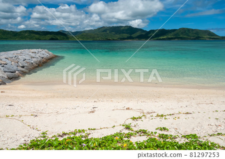 Stunning view of an emerald green sea, white coral sands, stone pier, Iriomote island in the background on a sunny day. 81297253