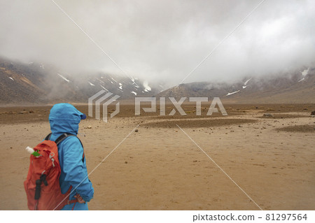 South Crater along the Tongariro Alpine Crossing, Tongariro National Park, North Island, New Zealand 81297564