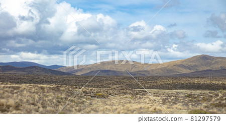 Vast and empty land along Volcanic Loop Hwy in Waiouru Military Area, Manawatu-Wanganui, New Zealand. 81297579