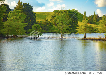 McLaren Falls Park McLaren Falls Park 81297583